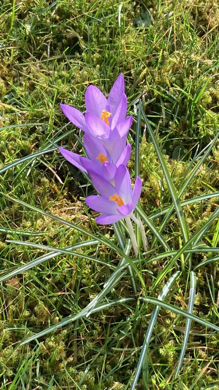 Außenbereich - Impressionen Meiner Praxis   von Naturheilpraxis und Apothekenvertretung