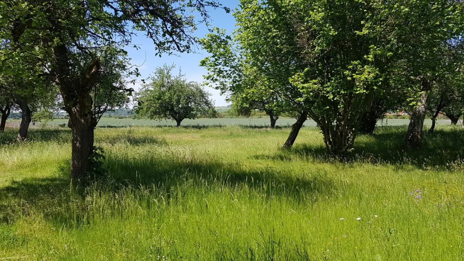 Außenbereich - Impressionen Meiner Praxis   von Naturheilpraxis und Apothekenvertretung