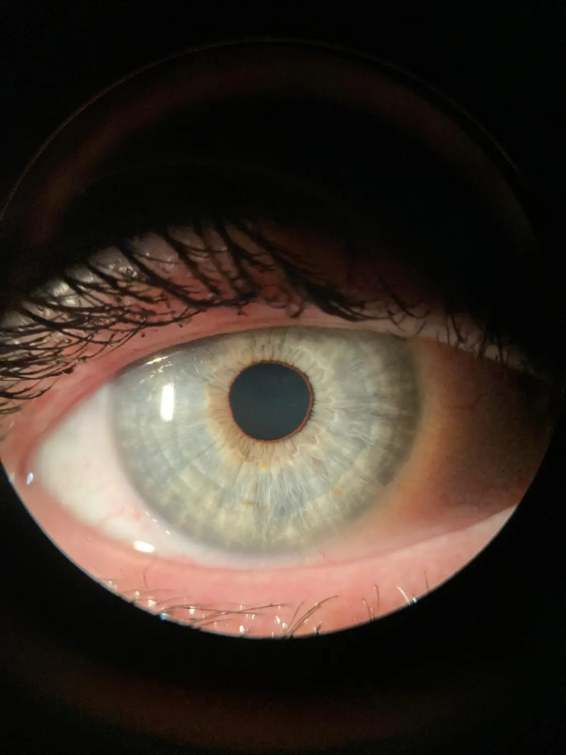  Auge von Naturheilpraxis und Apothekenvertretung