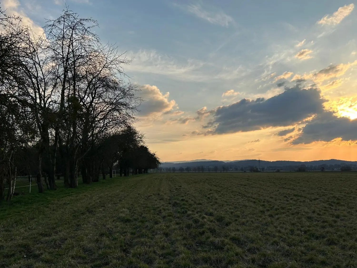 Sonnenuntergang in der Natur von Naturheilpraxis und Apothekenvertretung
